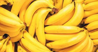 Imagen de bananos por nota sobre mejora genética para Colombia