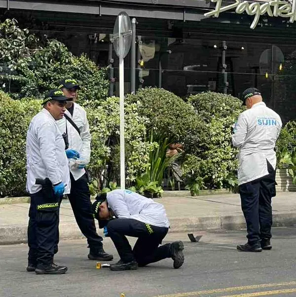 Foto de asesinato en parque de la 93, en nota de sicariato y robos en Bogotá: experto dijo qué pasa, qué hacer y quién es culpable