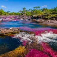 Colombia le ganó demanda a importante petrolera de Estados Unidos luego de que su proyecto colocara en riesgo a Caño Cristales, en Meta.