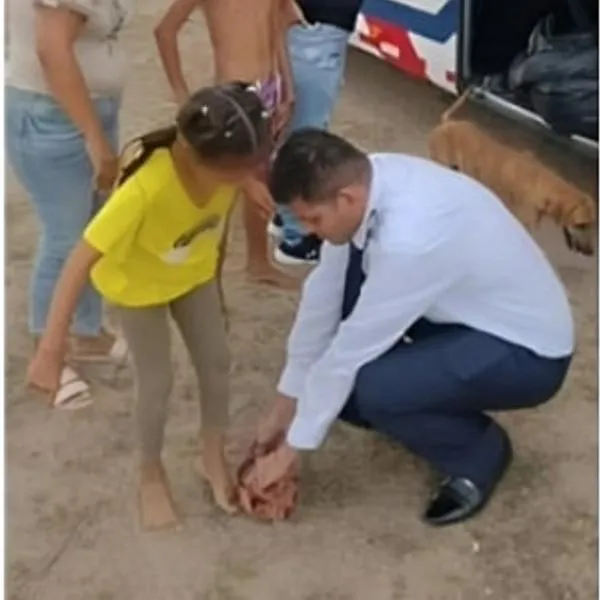 Un conductor de bus terminó su viaje y sorprendió a niños de La Guajira con comida y regalos. No paran de aplaudir al hombre en redes sociales.