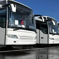 Sancionadas 20 empresas de transporte especial por cartelización