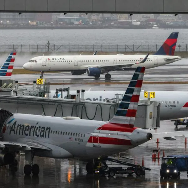 American Airlines no cobrará por llevar animales en cabina: detalles y requisitos
