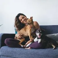 ¿Las mascotas son embargables?