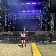 A concierto de artista mexicana en festival Tecate pal' Norte solo fue su amiga