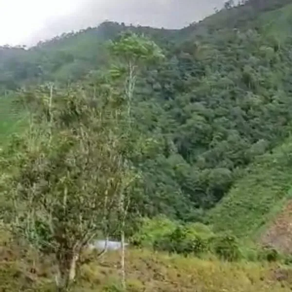 Siete muertos por enfrentamientos entre el Ejército Nacional y la Segunda Marquetalia en Nariño