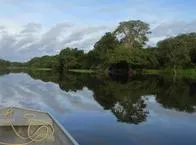 ¿Tengo que vacunarme para viajar al Amazonas?