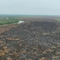 Un incendio del tamaño de Itagüí arrasó parte de la selva del Darién colombiano
