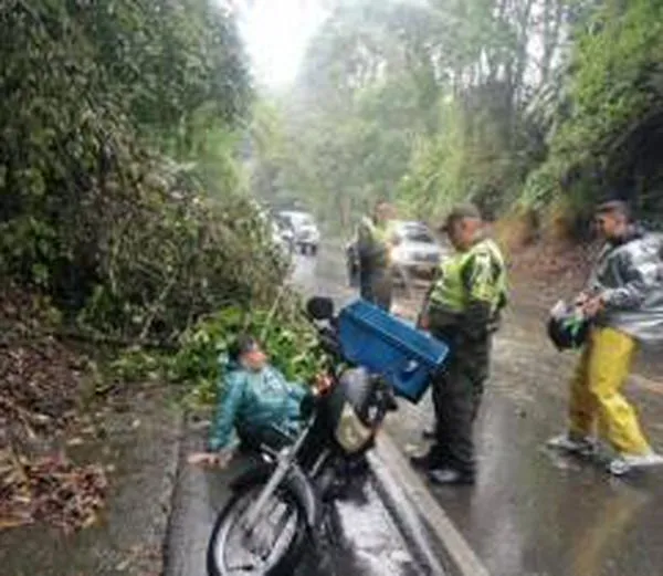 Caída de árbol lesionó a un motociclista