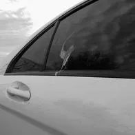 ¿Qué color de carro le gusta a las palomas para defecar?