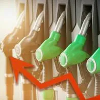 La Asociación de Transportadores de Carga (ATC) abrió el camino para que el precio del ACPM en Colombia suba en 2024. Acá, los detalles.