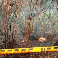 En medio de un incendio en Bello encontraron los restos óseos de una persona