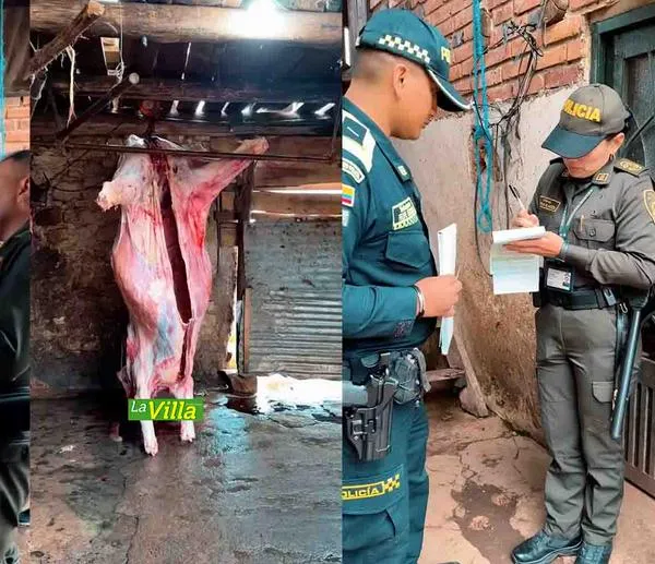 La carne fue confiscada y puesta a disposición de las autoridades competentes.