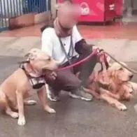 En líos paseador de perros que le pegó a un animal en Antioquia; empresa y autoridades le dieron malas noticias