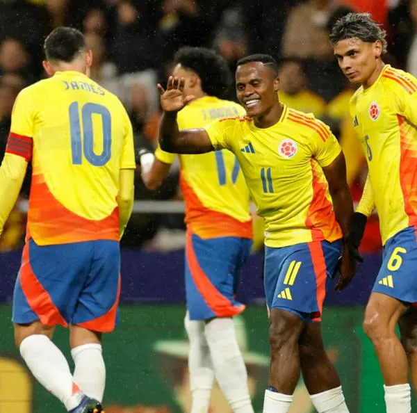 Selección Colombia: qué gana un jugador convocado y por qué le pagan