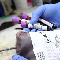 Cómo saber si puede donar sangre y qué es el donante universal, según Cruz Roja