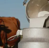 Crisis de la leche en Colombia. 