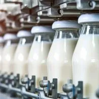 Oberweis Dairy, empresa vende leche quiebra y despidos de 500 trabajadores