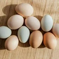 Dicen trucos para identificar si un huevo está dañado o no: truco con vaso de agua que pocos conocen y más alternativas.
