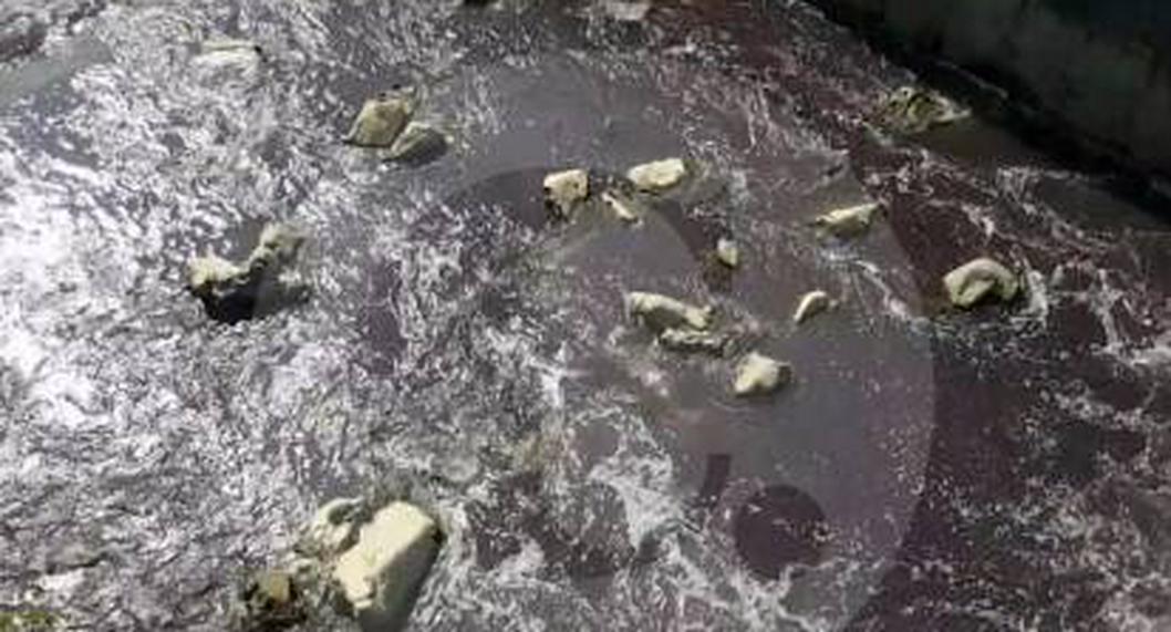 Mujer sin identificar fue hallada muerta a la orilla de un río en Antioquia