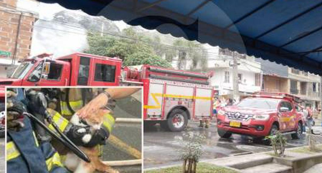 Se salvaron de milagro: una mujer y un gato fueron rescatados de un incendio en Itagüí