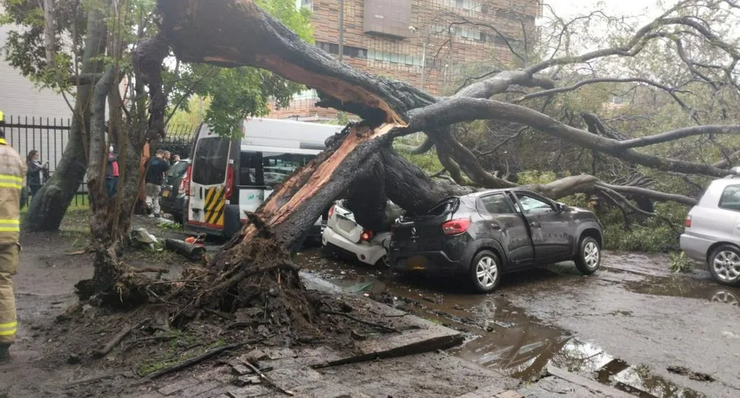 Árbol se cayó en Suba y causó emergencia en Bogotá: fotos y detalles