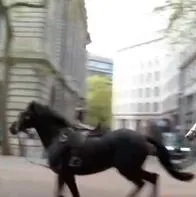 Caballos en Londres escaparon de ejército y corrieron en calles, dejando heridos