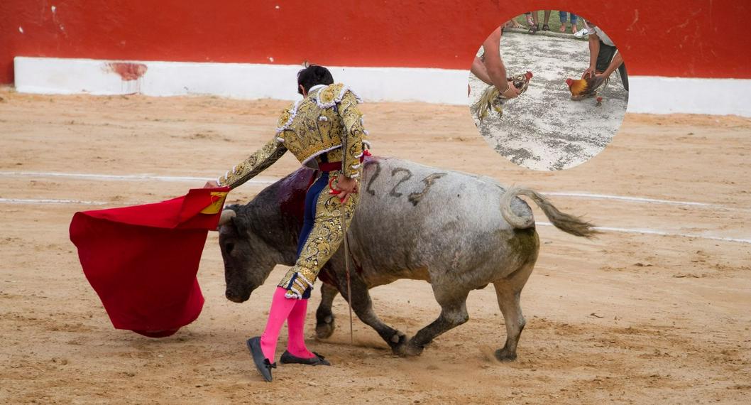 Corridas de toros y otras fiestas de maltrato animal podrían volver a Colombia 