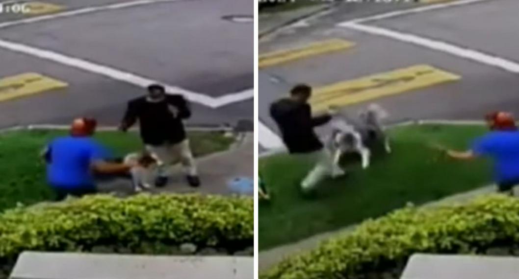 Perro frustró robo a su amo en Bogotá: mordió al ladrón y lo hizo salir a correr