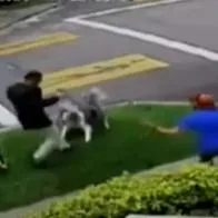 Perro frustró robo a su amo en Bogotá: mordió al ladrón y lo hizo salir a correr