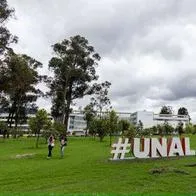 Universidad Nacional desmintió que el semestre se suspenda, pero en Bogotá no habrá clases.