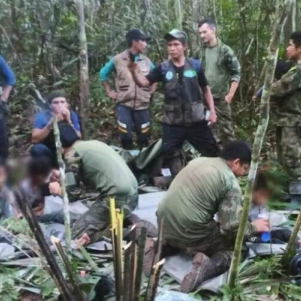 Niños perdidos en la selva no estuvieron con el perro Wilson, que desapareció también hace ya un año del trágico hecho. 