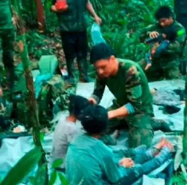 Supervivencia de niños perdidos en la selva: copoazú y para qué sirve