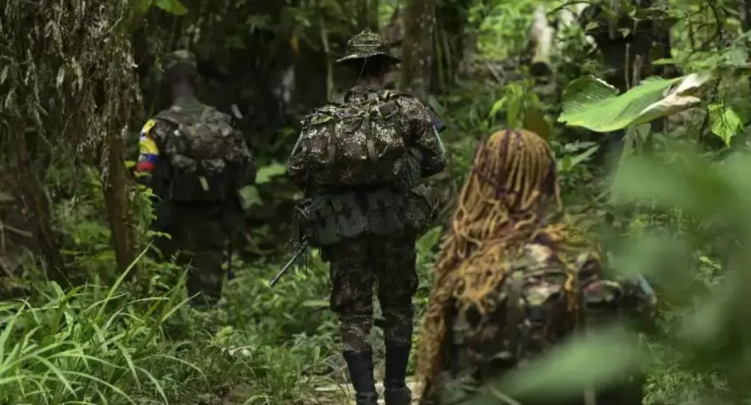 Células de disidencias de las FARC estarían operando en Cali: cuenta de TikTok es clave