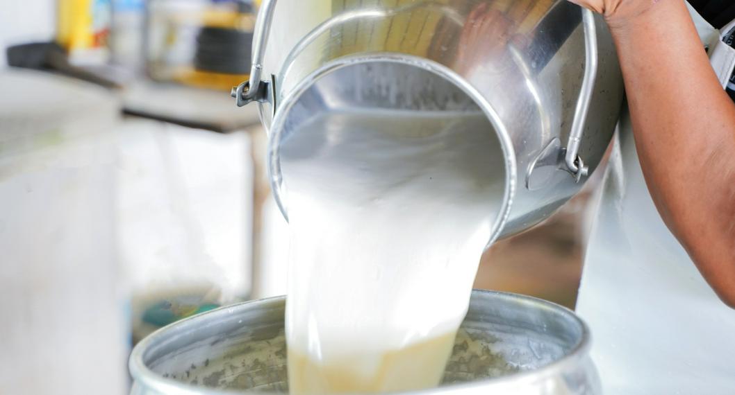 Producción de leche en el Quindío, en jaque