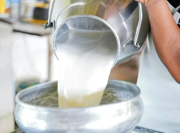 Producción de leche en el Quindío, en jaque