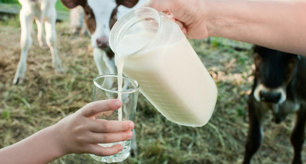 Dan anuncio a consumidores de leche. 