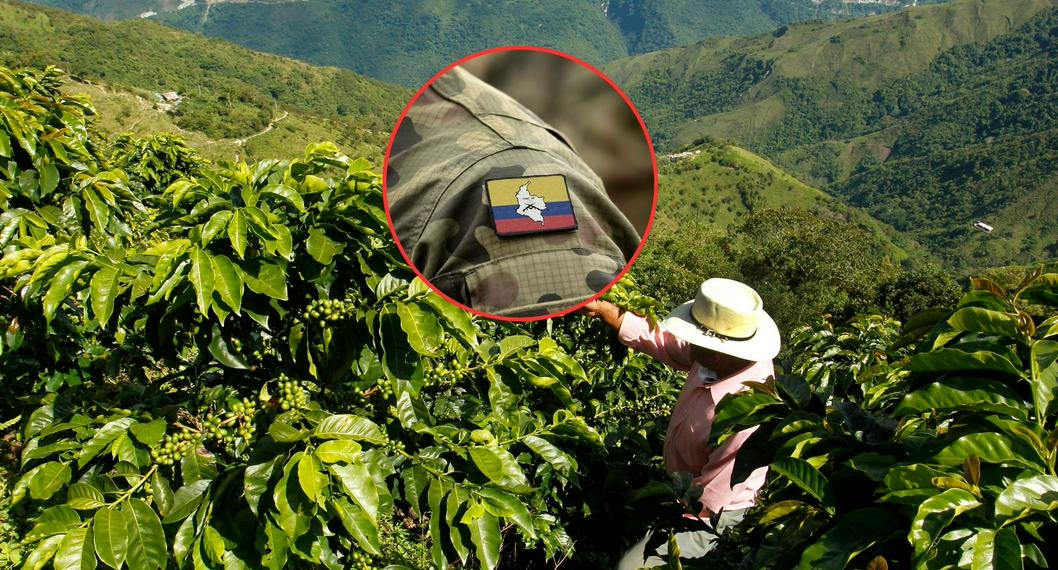 Violencia en Colombia está afectando la agricultura, según presidente de la SAC
