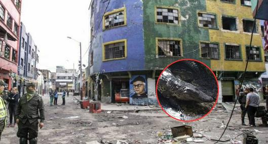 Filtran foto de 'Pepe', cocodrilo del Bronx de Bogotá que desaparecía víctimas