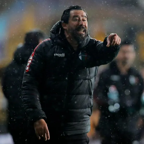 DT de Palestino y su estrategia para ganarle a Millonarios: “Hay que jugar con sus necesidades"