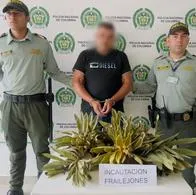Este hombre fue capturado por robar cinco frailejones de un páramo en el Tolima 