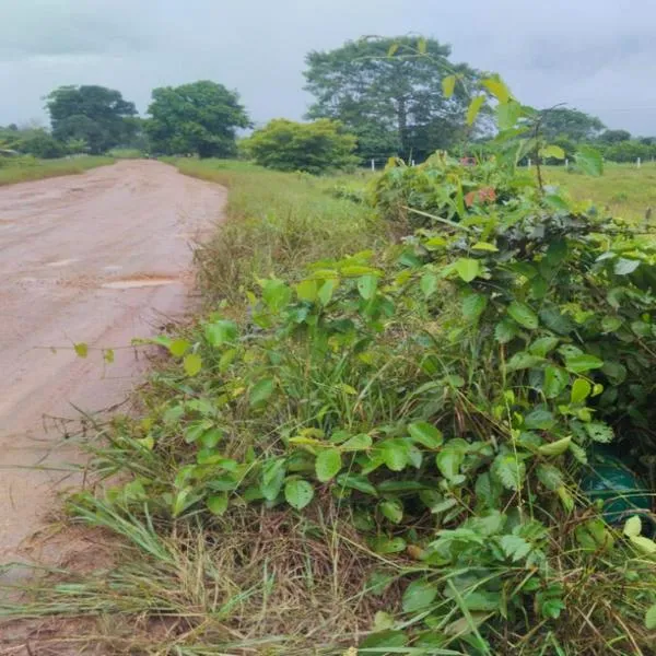 Hallan artefacto en zona donde llegaría el embajador de Estados Unidos al Guaviare