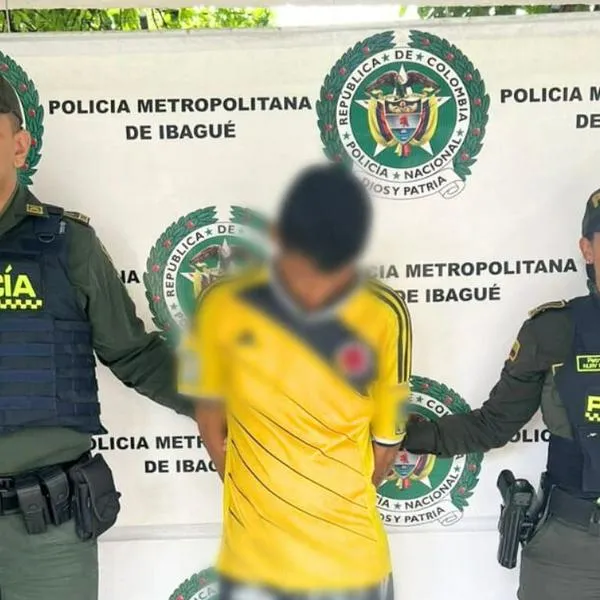 Este ladrón robó y atacó a machete a una mujer en Ibagué