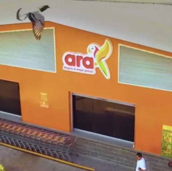 Por qué tiene descuentos el Ara.