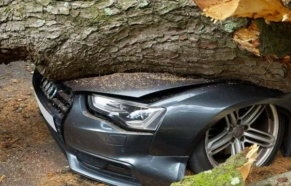 Así funciona el seguro todo riesgo de un vehículo; lo podría salvar ante una tragedia