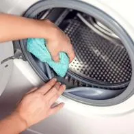 Foto de limpieza de lavarropa, en nota de cómo quitar lo negro en goma de lavadora con truco casero para dejarla como nueva