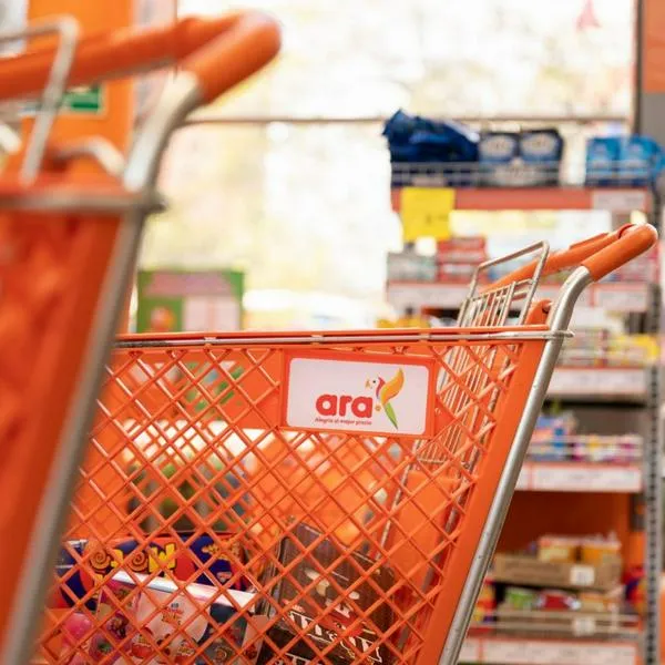 Portacomidas económico del Ara.