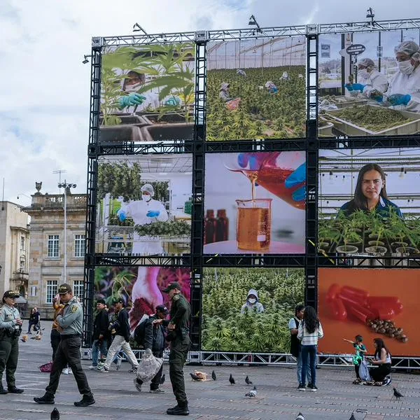 'Las Caras del Cannabis', una exposición fotográfica en la Plaza de Bolívar