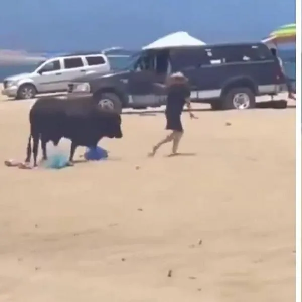 Video | Toro corneó brutalmente a una mujer mientras estaba descansando en la playa.