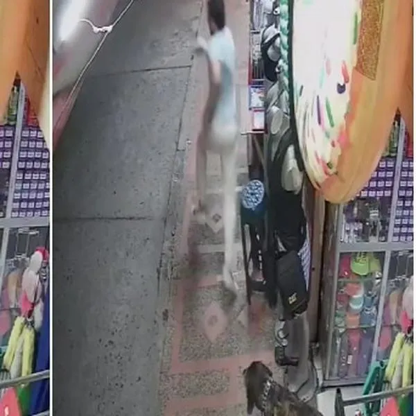 Líder social se salvó de morir en un atentado gracias a su perro; Estaba leyendo un libro