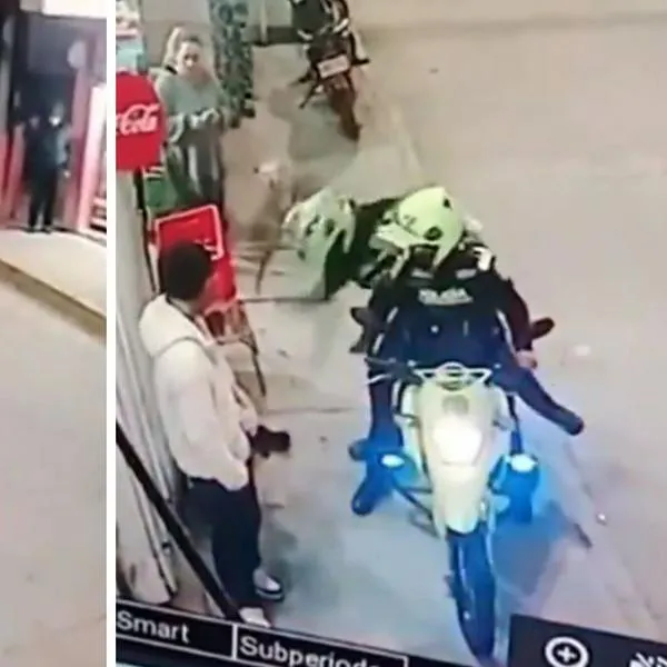 Policías le pegaron a una perrita con un bolillo; los separaron de su cargo 